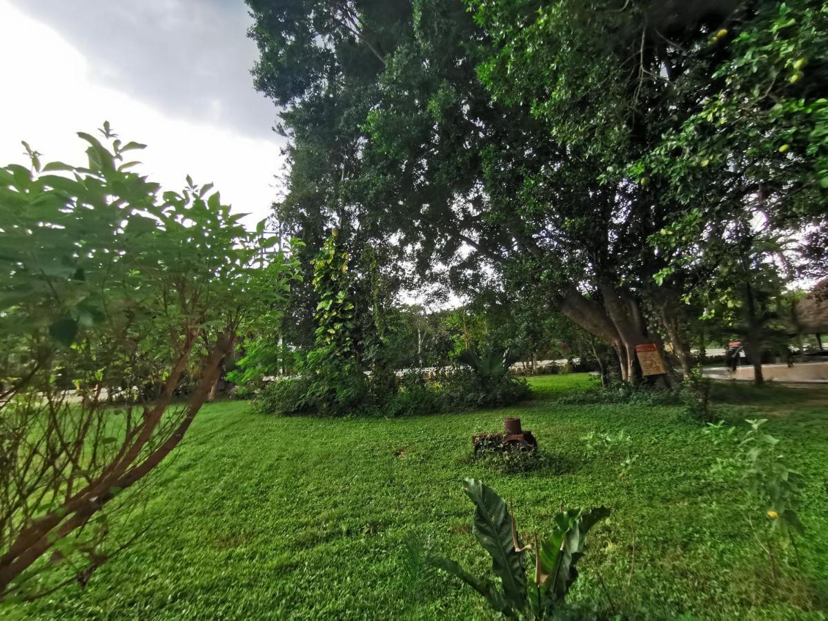 Hotel Doralba Inn Chichen Dış mekan fotoğraf